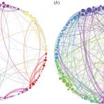 we-use-10-percent-of-our-brains-potential