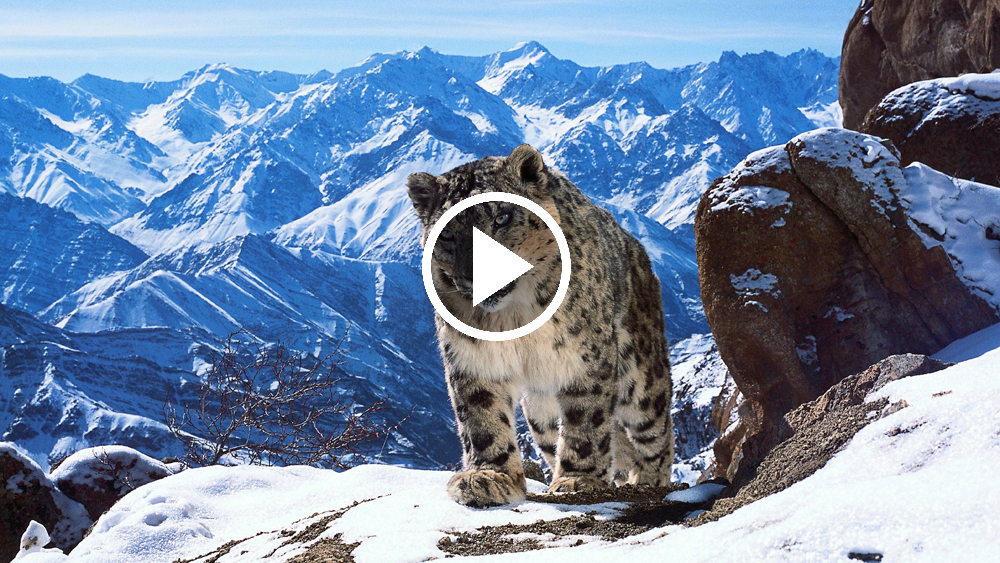 planet-earth-the-best-documentary