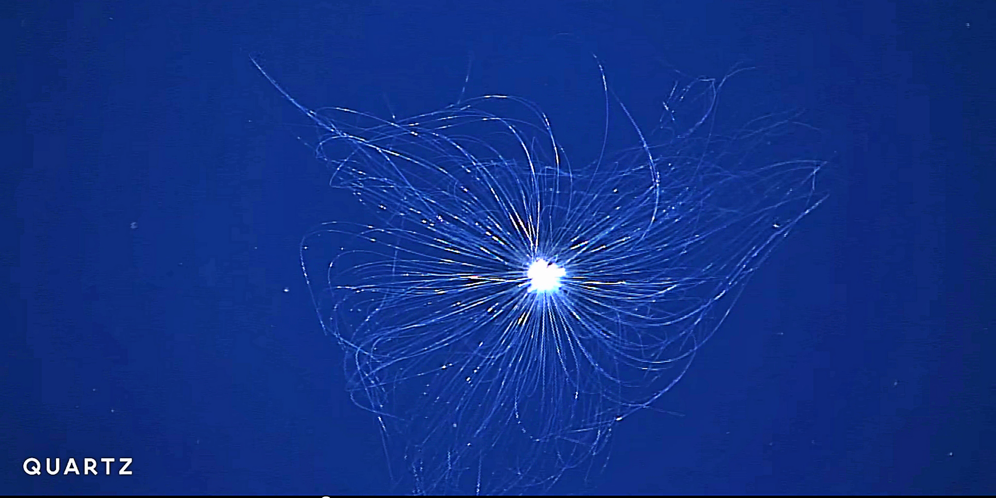 scientists-just-discovered-something-really-weird-in-deep-waters