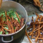 ayahuasca-decalcify-your-pineal-gland