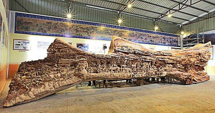 Closer Look At This Tree Shows The UNBELIVEABLE Things Human Determination Can Do Closer Look At This Tree Shows The UNBELIVEABLE Things Human Determination Can Do