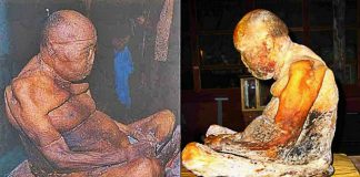 mummified-buddhist-monk-comes-back-to-life