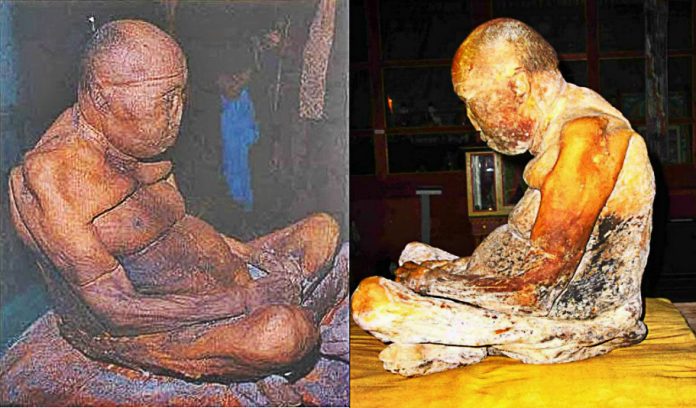 mummified-buddhist-monk-comes-back-to-life