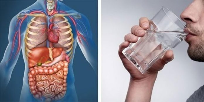 this-is-what-happens-to-you-when-you-drink-nothing-but-water-for-30-days what-happens-when-you-drink-nothing-but-water-for-30-days
