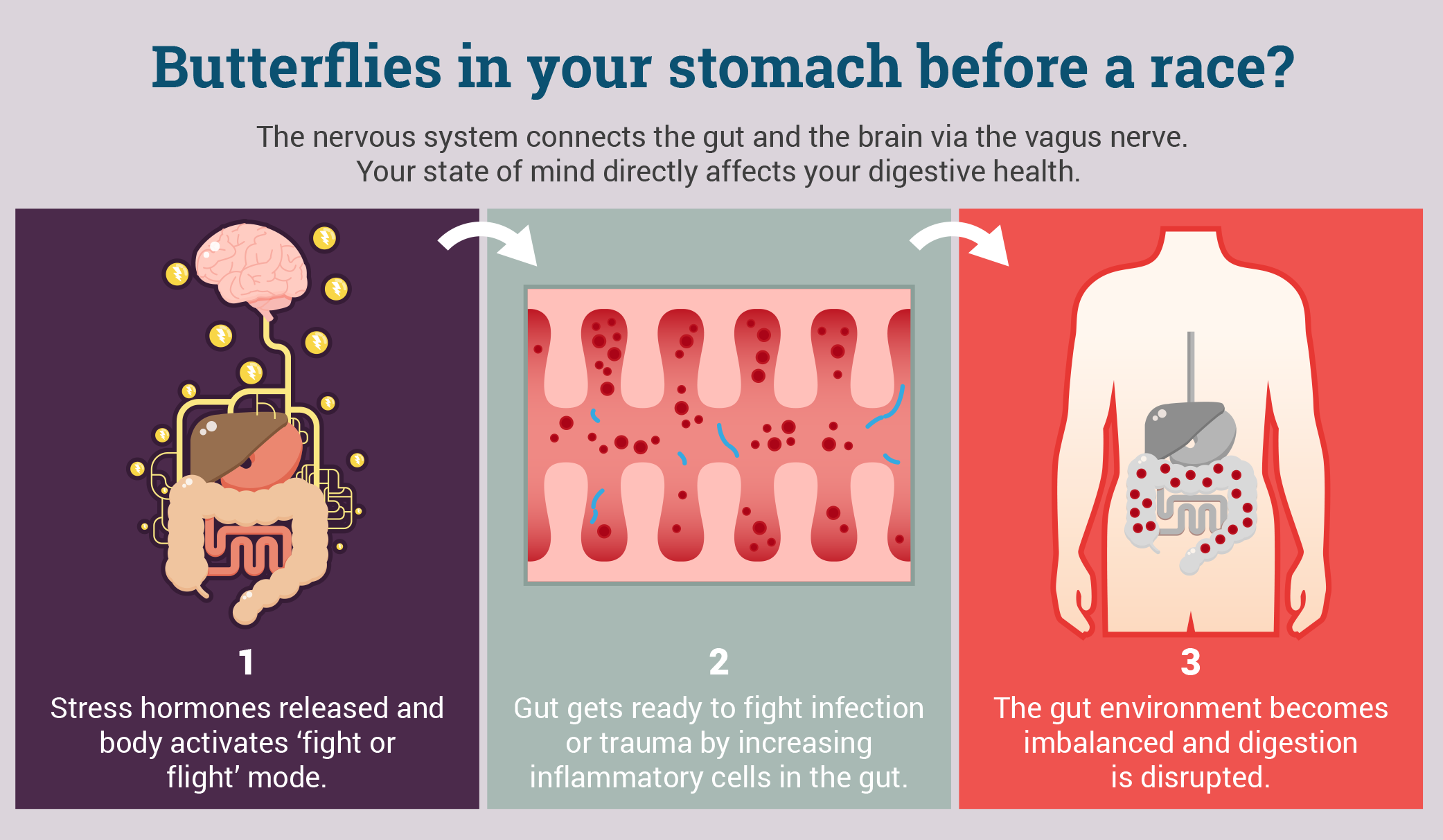 Running and Butterflyinthestomach Life Coach Code