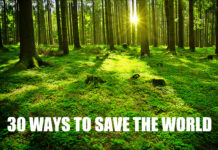 Things You Can Do To Save This Planet