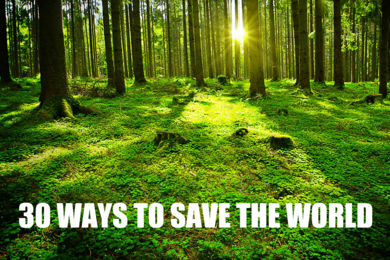 Things You Can Do To Save This Planet