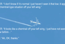 Pilot Have A Chemtrail