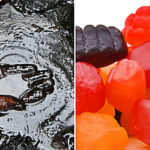 BEWARE Top 5 Potentially Cancer-Causing Children’s Snacks Made From Petroleum-Based Products