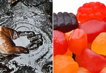 Top 5 Potentially Cancer-Causing Snacks