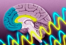 THIS Is Exactly Why Nikola Tesla Told Us To Study The 'Non Physical'