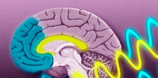 THIS Is Exactly Why Nikola Tesla Told Us To Study The 'Non Physical'