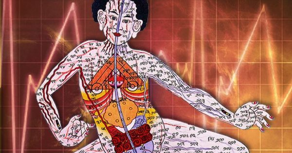 The Human Body Is Influenced By The Elements