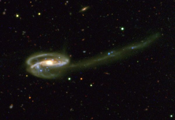 The Tadpole Galaxy