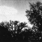 CIA Released 13 Million Files Declasified Information!