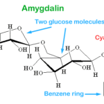amygdalin
