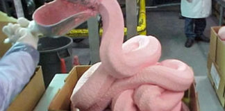 Horrifying Ingredients McDonald’s