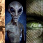 According To Most Data Collected On Aliens These Are The 4 Most Hostile Species!