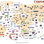 Companies Connections