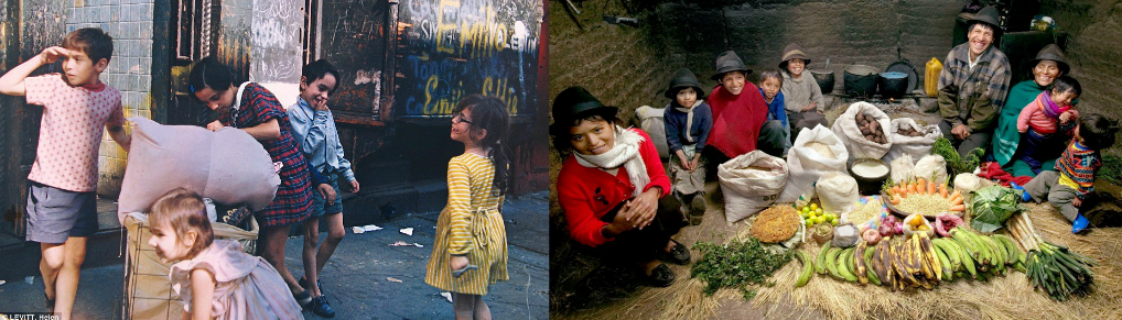 Fabricated Reality Different Families