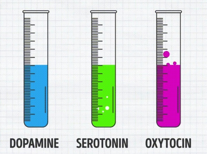 Inner Reality Reality Hormones