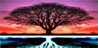 No matter what’s happening in your life right now, you must read this short story.