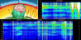 Schumann Resonance Spiking
