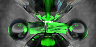 Scientists Found The Holy Grail Of Physics