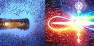 New Research Shocks Scientists: Human Emotion Physically Shapes Reality! Human Emotion Physically Shapes Reality