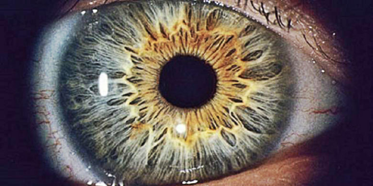 The Most Consciousness Expaning Video