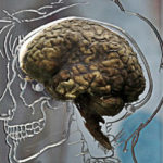 THIS Spice Prevents Fluoride From Destroying Your Brain