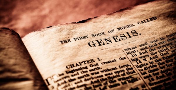 The Story Of Genesis