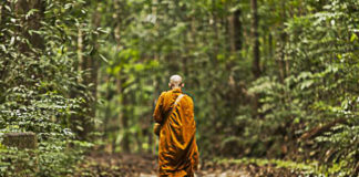 THIS ‘Forgotten’ 5 Min. Activity Boosts Your Immune System, Self Confidence, Wellbeing… 5 Min. Activity Boosts Wellbeing