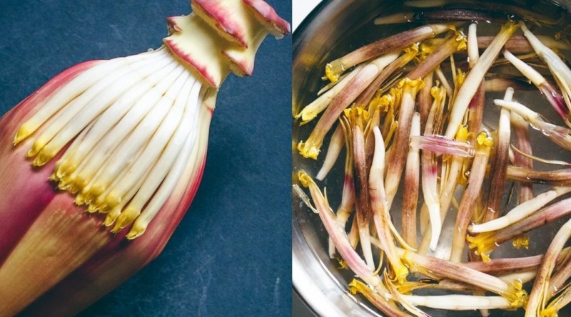 banana-flower Health Benefits
