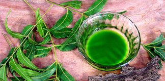 THIS Is The Most Beneficial, Powerful And Majestic Tree In The Entire World...