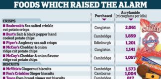 Acrylamide a cancer-causing and potentially neurotoxic chemical