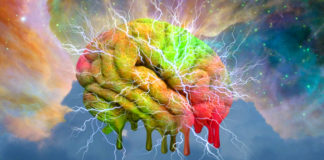 Harvard Researchers Claim They’ve Found The Source Of Consciousness! Harvard Researchers Claim They've Found The Source Of Consciousness!