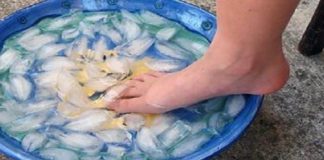 How To Boost Your Immune System