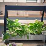 Ikea’s Hydroponic System Allows You To Grow Vegetables