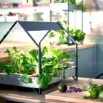 Ikea’s Hydroponic System Allows You To Grow Vegetables All Year Round Without A Garden