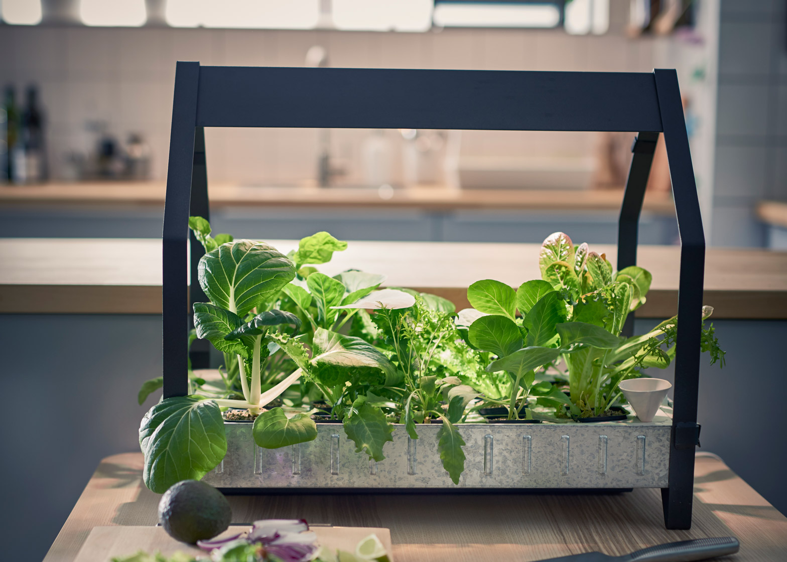 Ikea’s Hydroponic System Allows You To Grow Vegetables