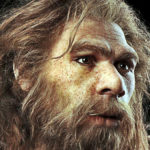 New Research Concludes That Some Neandratals Were Vegetarian!