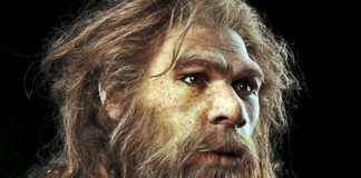 New Research Concludes That Some Neandratals Were Vegetarian And More Culturally Advanced Than We Thought! New Research Concludes That Some Neandratals Were Vegetarian!