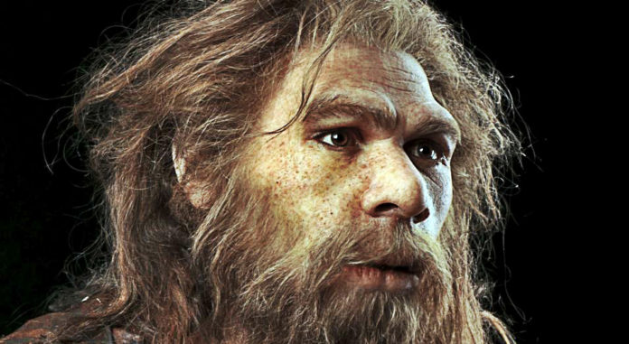 New Research Concludes That Some Neandratals Were Vegetarian!
