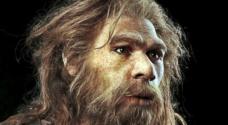 New Research Concludes That Some Neandratals Were Vegetarian!