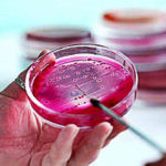 Scientists Find Blood From Vegans Is 8 Times More Protective Against Cancer