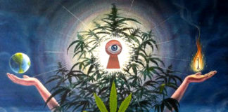 What Happens In The 3rd Eye When We Smoke Cannabis