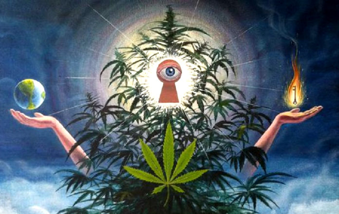 THIS Is What Happens In The 3rd Eye When We Smoke Cannabis... What Happens In The 3rd Eye When We Smoke Cannabis