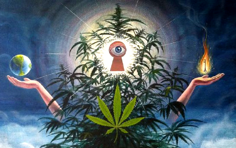 What Happens In The 3rd Eye When We Smoke Cannabis