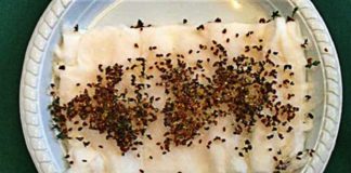 WiFi Experiment 9th Grade Students